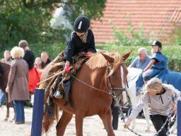 IMG_7822_web